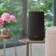 Loa Bluetooth Harman Citation 100