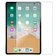 Dán nhám chống va đập Zeelot Matte cho iPad 10.2 2020