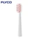 Đầu bàn chải Flyco PH01VN