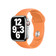 Dây đeo Apple Watch Sport Band 41/40/38mm-Cam