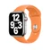 Dây đeo Apple Watch Sport Band 45/44/42mm-Cam