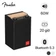 Loa bluetooth Fender NewPort 60W