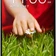 LG G2 F320 32GB Likenew-Black