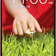 LG G2 16GB Chính hãng Đỏ