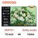 Google Tivi Coocaa khung tranh QLED 4K 75 inch 2025 (75L85)