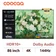 Google Tivi Coocaa khung tranh QD-QLED 4K 86 inch 2025 (86L85)