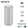 Loa Bluetooth Sony SRS-XE300 - Cũ