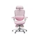 Ghế văn phòng công thái học Epione Easychair Blossom -Hồng
