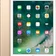 Apple iPad 9.7 Wi-Fi 128GB Vàng Chính hãng