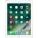 Apple iPad 9.7 4G 32GB cũ