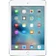 Apple iPad mini 4 Wi-Fi 64GB cũ-Silver