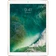 Apple iPad Pro 12.9 4G 64GB đã kích hoạt