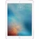 Apple iPad Pro 9.7 Wi-Fi 32GB Cũ trầy xước