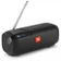 Loa Bluetooth JBL Tuner FM-Black