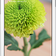 OPPO Joy 3 Chính hãng