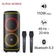 Loa Party Alpha Works GENBEAT 120