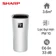 Máy lọc không khí ô tô Sharp IG-NX2E-W