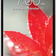 LG Optimus G Chính hãng Xanh
