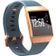 Đồng hồ thông minh Fitbit Ionic Slate Blue/Orange