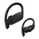 Tai nghe Bluetooth PowerBeats Pro Cũ - Đẹp - Đen