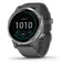 Đồng hồ thông minh Garmin Vivoactive 4 - Cũ Xước Cấn-Xám