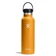 Bình giữ nhiệt Hydro Flask Standard Flex Cap 621ml S21SX-Vàng