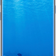 Samsung Galaxy S8 Chính hãng-Blue