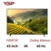 Smart Tivi VSP QLED UHD 4K 43 inch 2025 (VUE43GSU01)