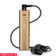 Sony SBH54-Gold
