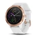 Đồng hồ thông minh Garmin vivoactive 3
