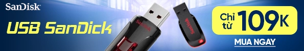 USB Sandisk