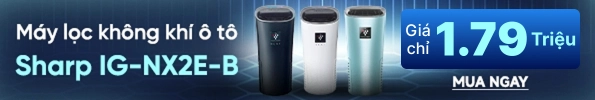 Máy lọc không khí ô tô Sharp IG-NX2E-B