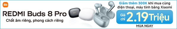 Xiaomi Redmi Buds 8 Pro