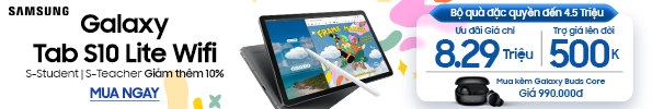 Samsung Galaxy Tab S10 Lite Wifi 6GB 128GB