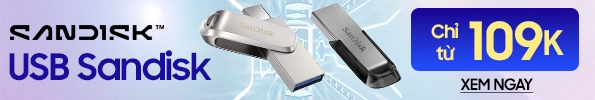 USB Sandisk