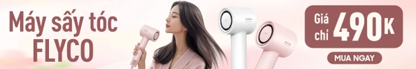 Máy sấy tóc Flyco