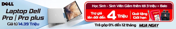 Dell Pro/Plus