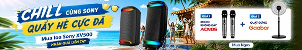 Loa Karaoke Sony SRS-XV500