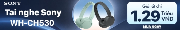 Tai nghe chụp tai Sony WH-CH530