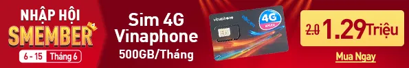 Sim 4g vina
