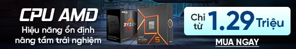 CPU AMD