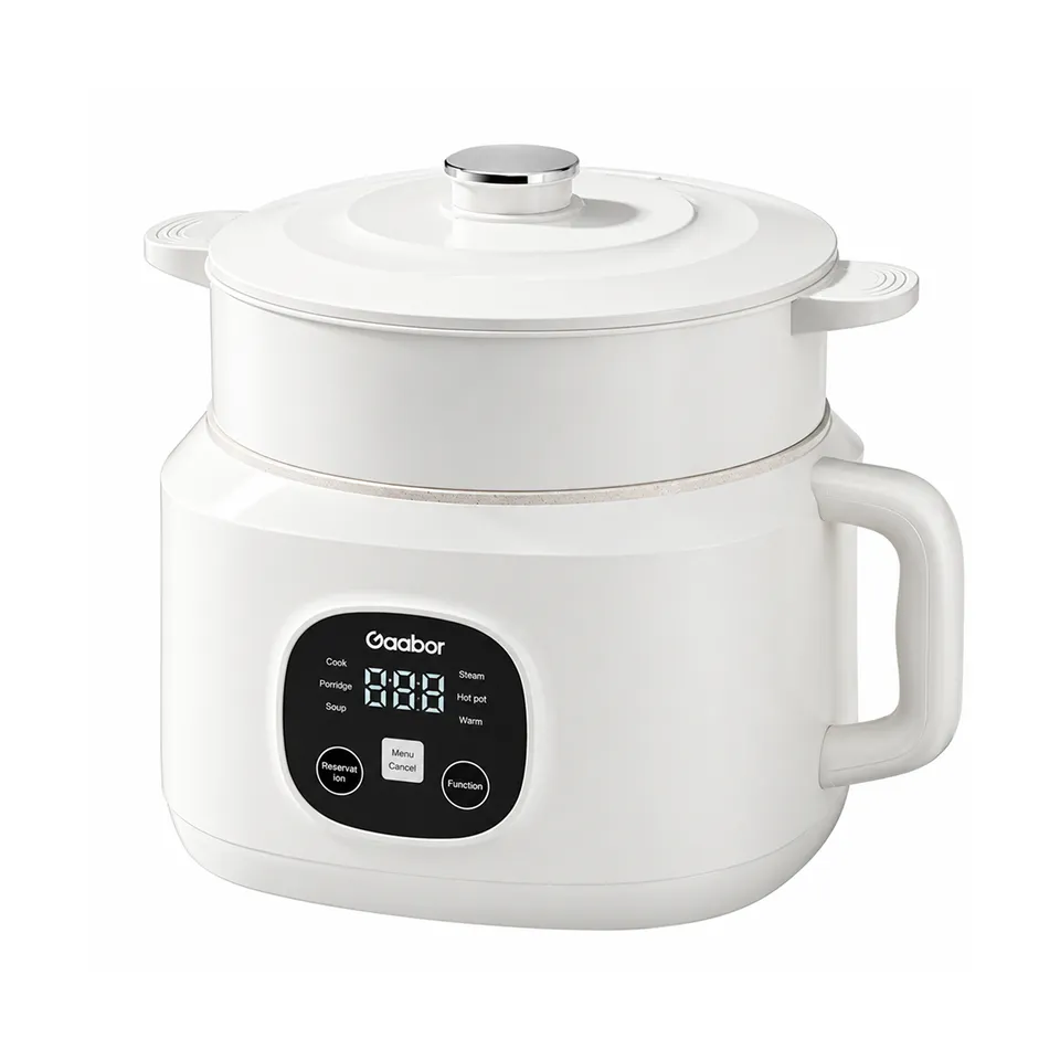 Nồi cơm điện đa năng Gaabor EC-30T01A
