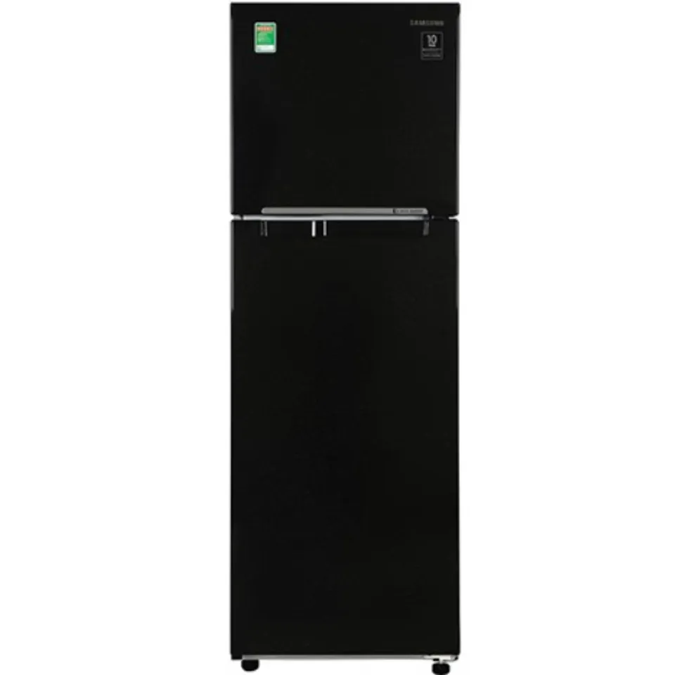 Tủ lạnh Samsung 256L 2020 RT25M4032BU/SV