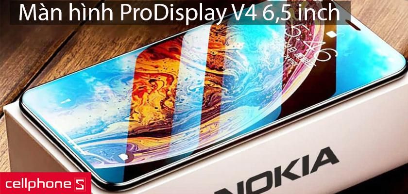 Màn hình ProDisplay V4 6,5 inch