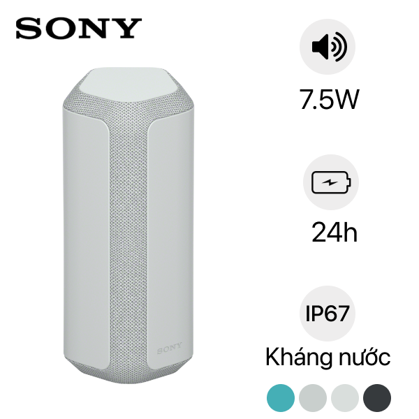 Loa Bluetooth Sony SRS-XE300 Cũ Giá rẻ