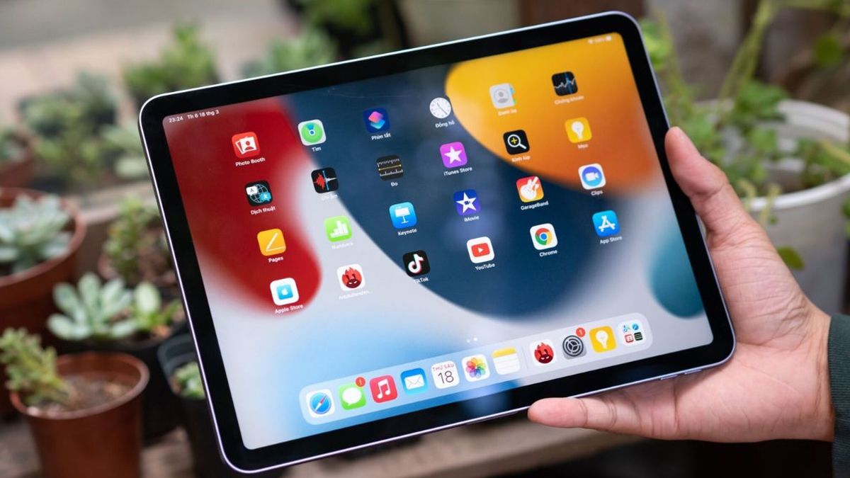 iPad bản Wifi