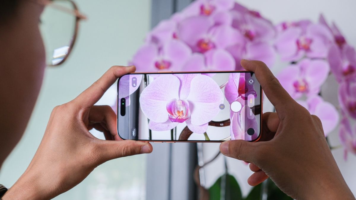 Ống kính tele hỗ trợ zoom xa, chụp cận cảnh sắc nét