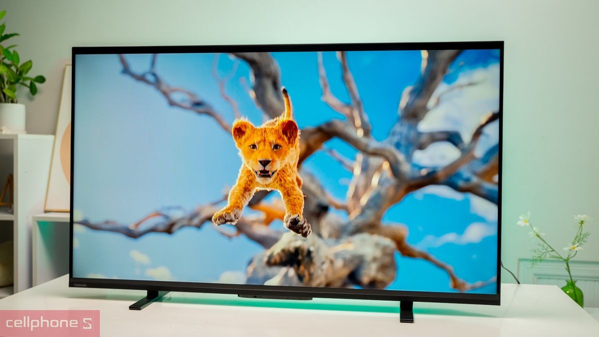 Tivi 55 inch