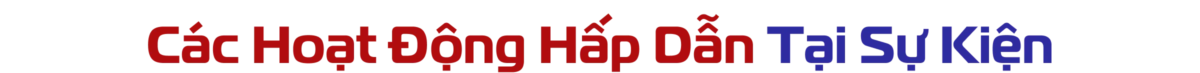 Các Hoạt Động Hấp Dẫn Tại Sự Kiện