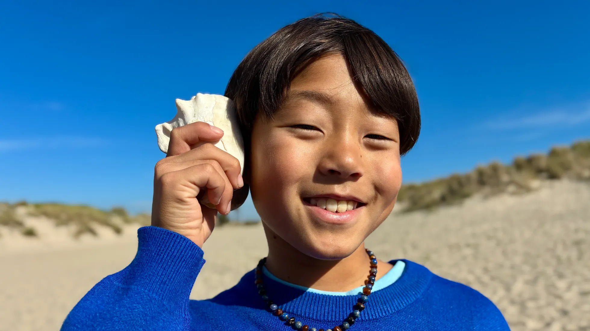 Camera trên iPhone 17e 48MP sắc nét